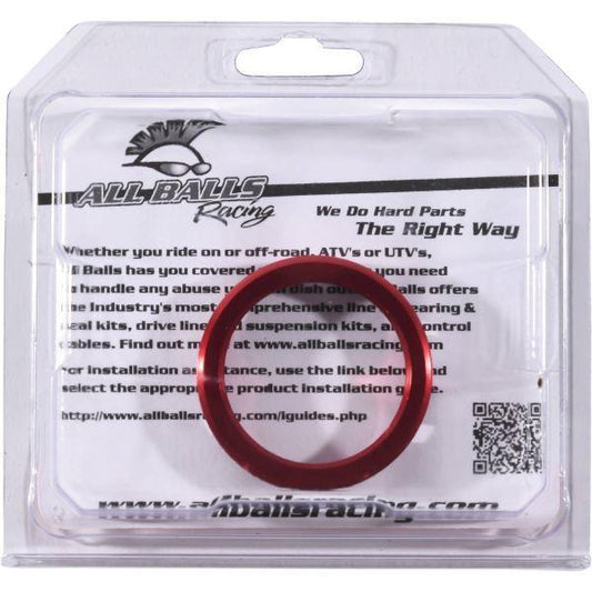 All Balls Racing Wheel Bearing Retainer Kit Rear-11-2002