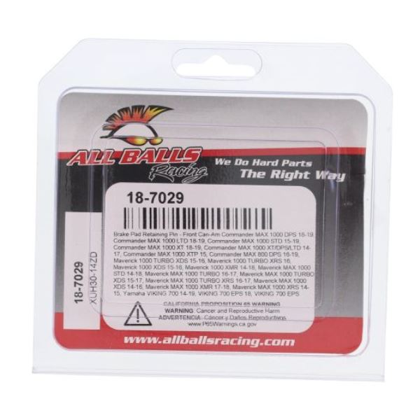 All Balls Racing caliper bolt kit front (18-7029)