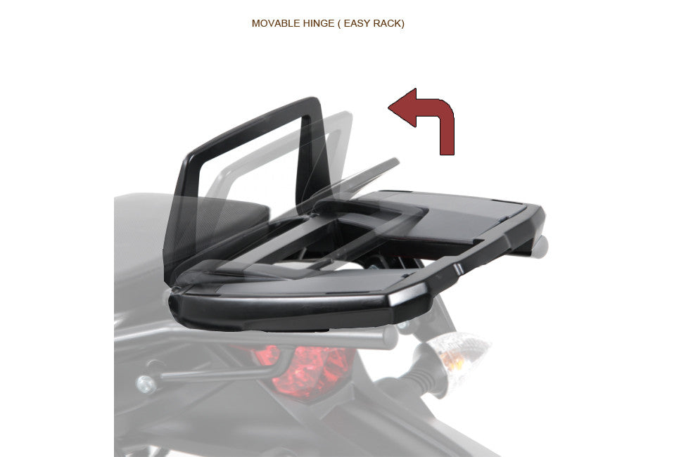 Carrier Topcase Movable Hinge Easy Rack BMW F800GS - Hepco Becker - 661667 01 01