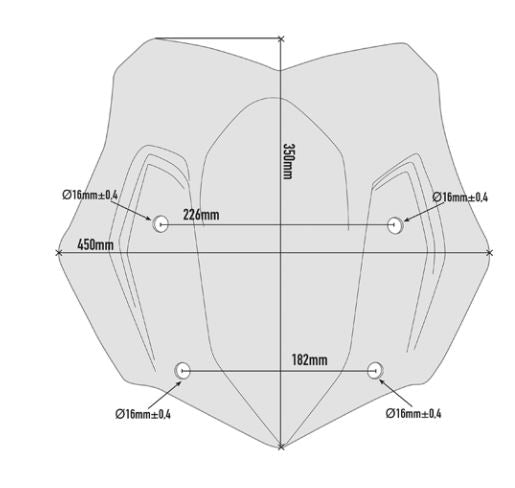 GIVI Specific Low Sports Screen for BMW R1200GS - D5124B