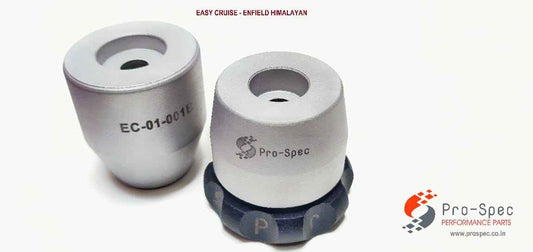 Easy Cruise for Royal Enfield (Thunderbird Classic 350 Classic 500 ThunderbirdX) - Pro-Spec - ECZ-001