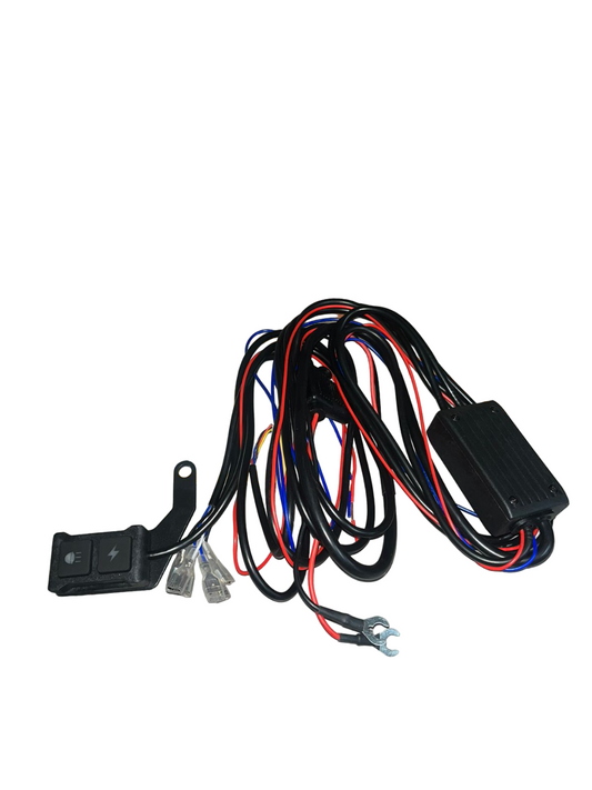 LGP Premium Wire Harness Dual Colour - With Dual Switch/Relay/Fuse/Flasher-AUX11204