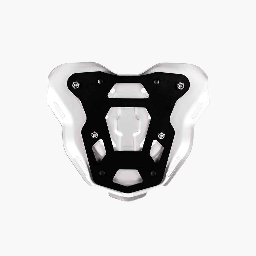 Legundary Custom TVS Apache RTX 300 Genesis Carrier Plate Silver - Direct Fit with OEM Carrier - CAR25820