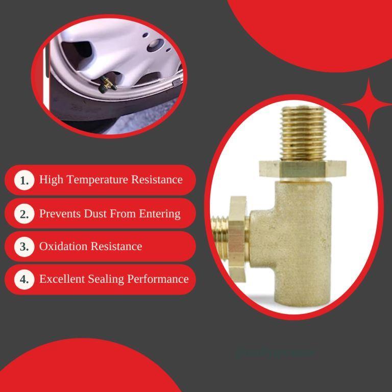 Two Way Valve for External TPMS - Fahren