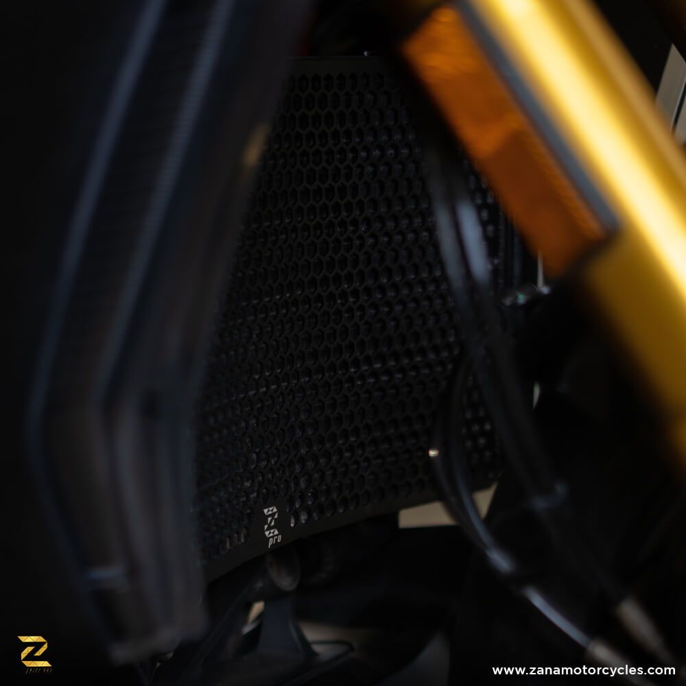 ZANA Radiator Guard Honeycomb for Ducati Diavel-1260-Black(2-Set) - ZP-054
