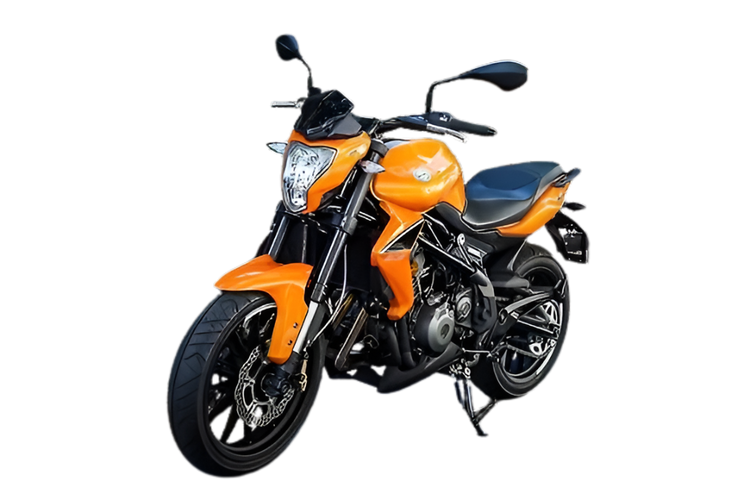 Benelli BN 302