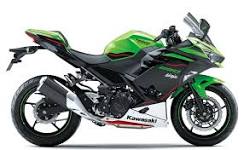 Kawasaki Ninja 250R