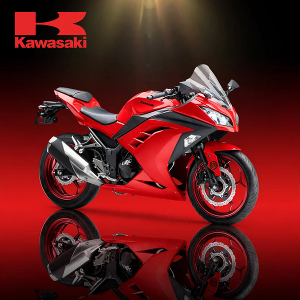 Kawasaki Ninja 300