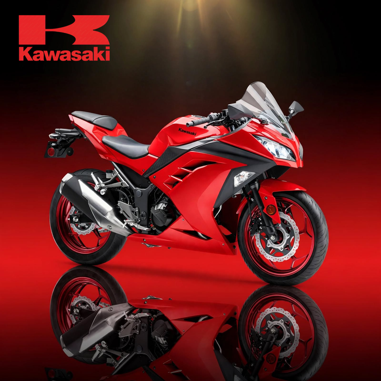 Kawasaki Ninja 300