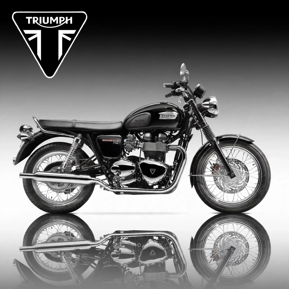 Triumph Bonneville T100 (2014-16)