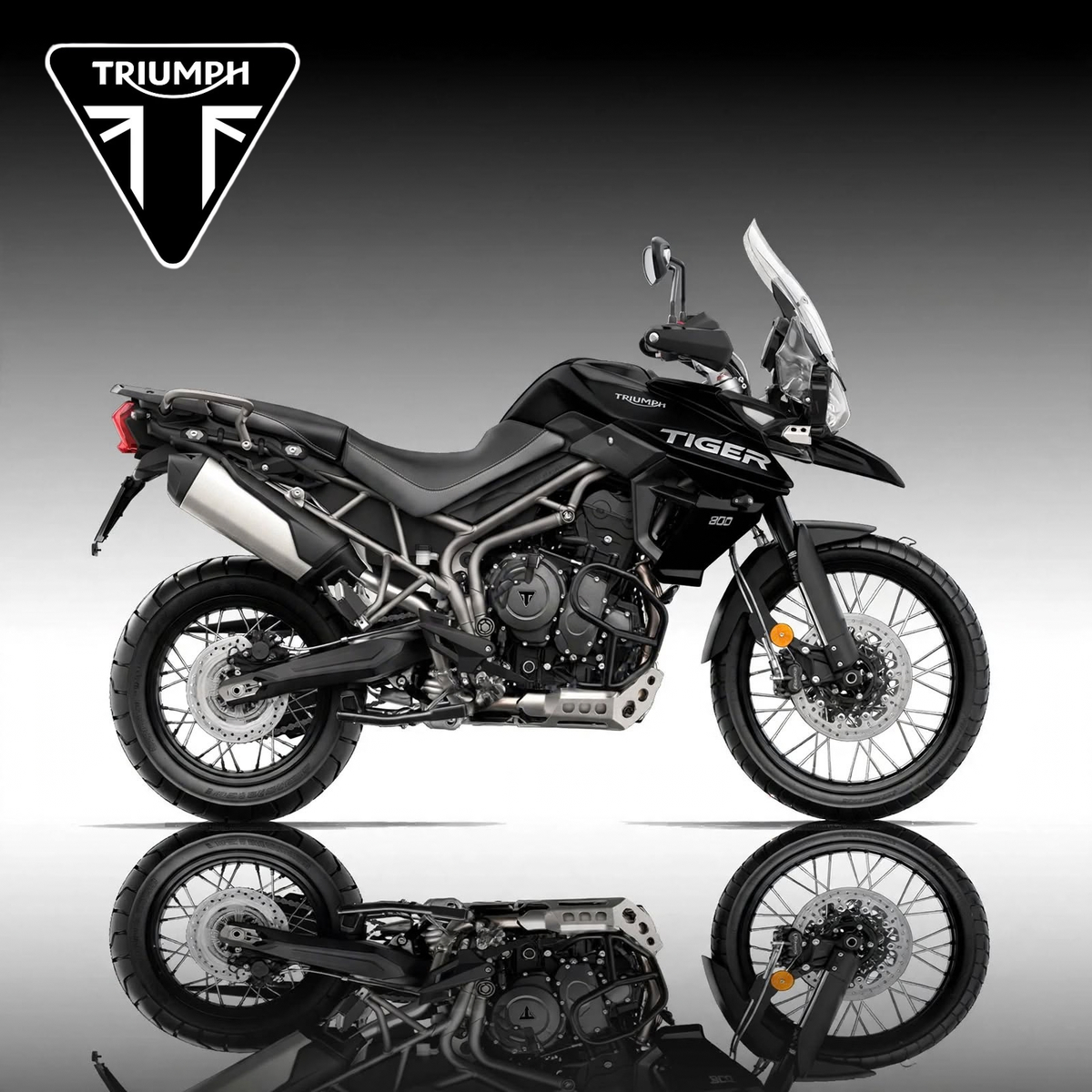 Triumph Tiger 800
