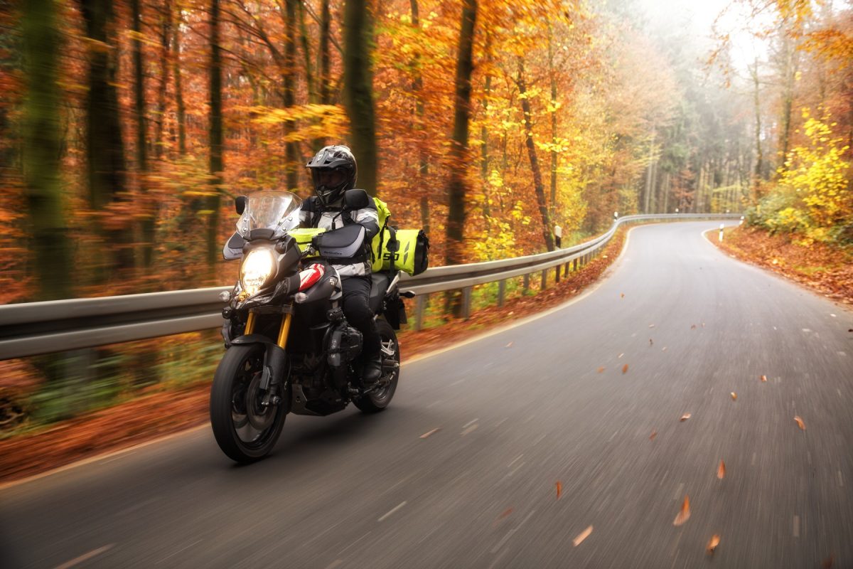 BBZ Fabric Handguard – Multi Fit - Riders Junction