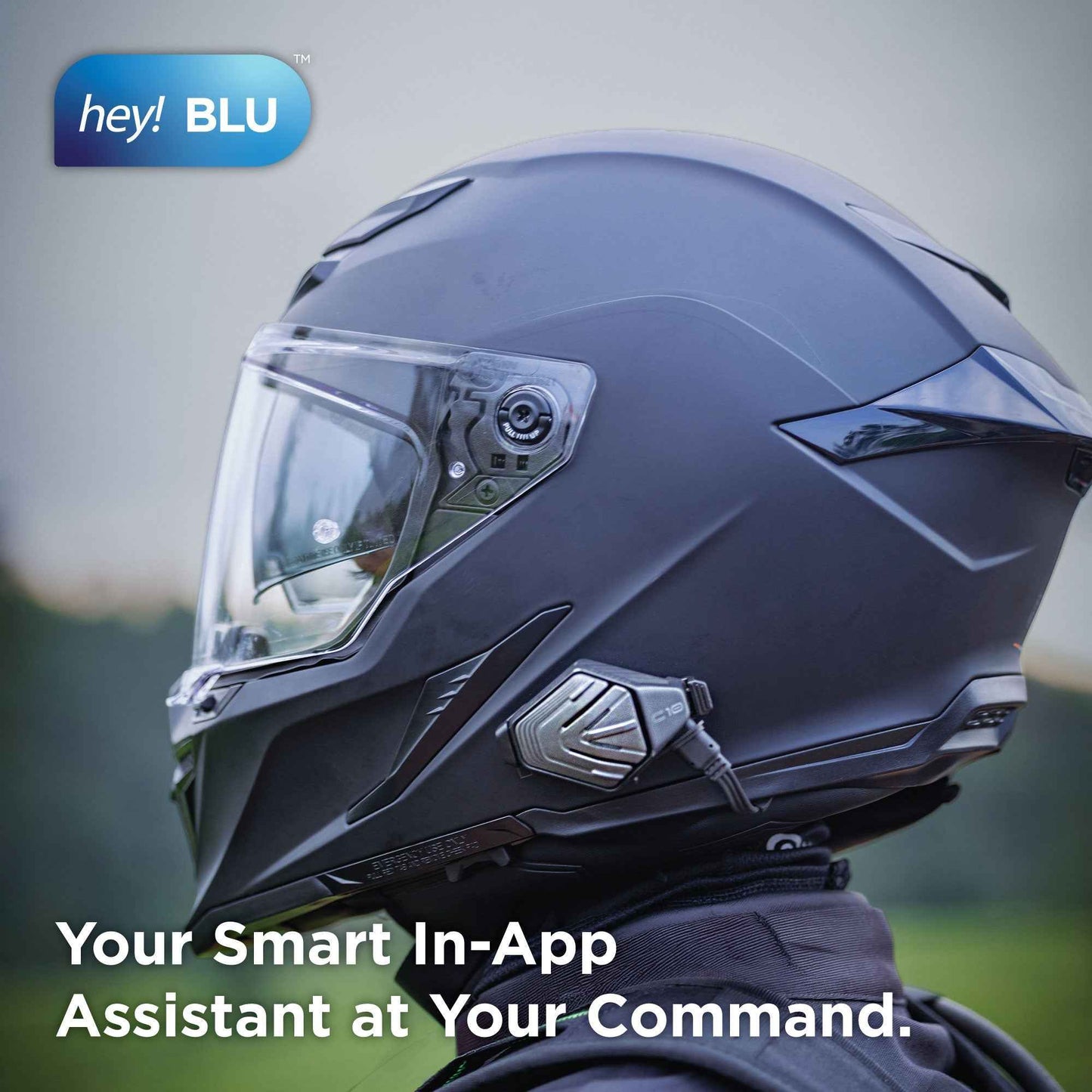 Bluarmor Intercom C10