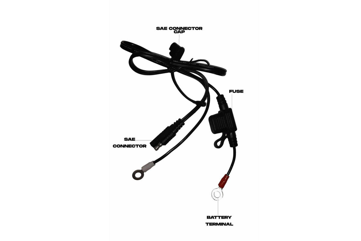 Cliff Top Battery Ring Terminal to SAE connector Fuse (60cm Long with Fuse) C-SAE1