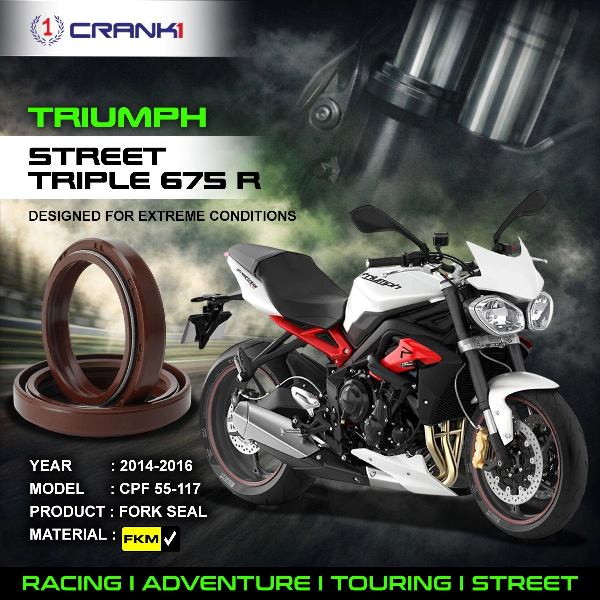 Crank1-Fork Oil Seals Pair Triumph Street Triple 675 R (2014-2016)-CPF55-117