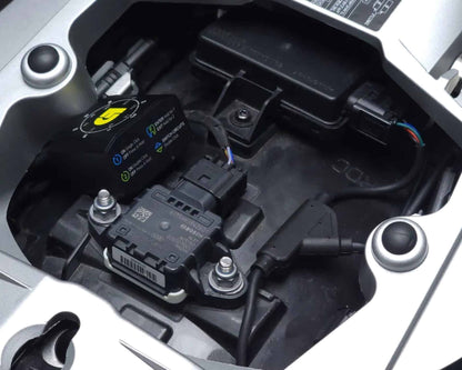 DENALI DialDim Lighting Controller for BMW R1250GS - DNL.WHS.25600