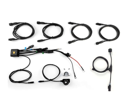 DENALI DialDim Lighting Controller for BMW R1250GS - DNL.WHS.25600