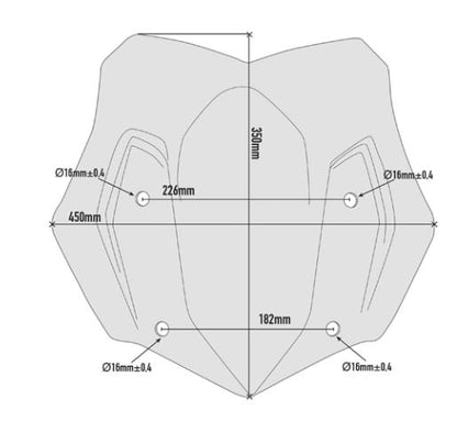 GIVI Specific Low Sports Screen for BMW R1200GS - D5124B