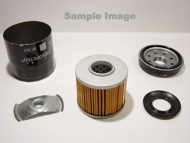 Oil Filter 303 by HI FLO - Riders Junction