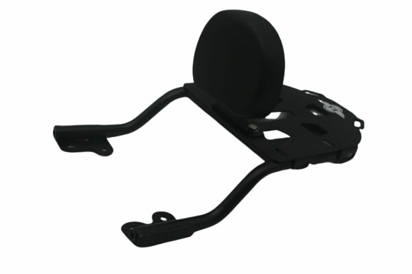 Hero Xpulse Backrest