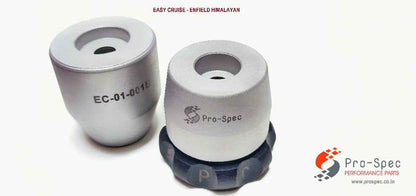 Easy Cruise for Royal Enfield (Thunderbird Classic 350 Classic 500 ThunderbirdX) - Pro-Spec - ECZ-001
