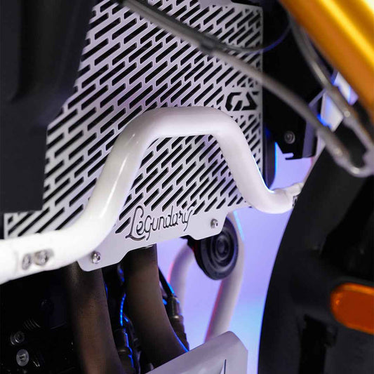 Legundary Custom BMW F450 GS Vector Radiator Grill Silver - RAG28789