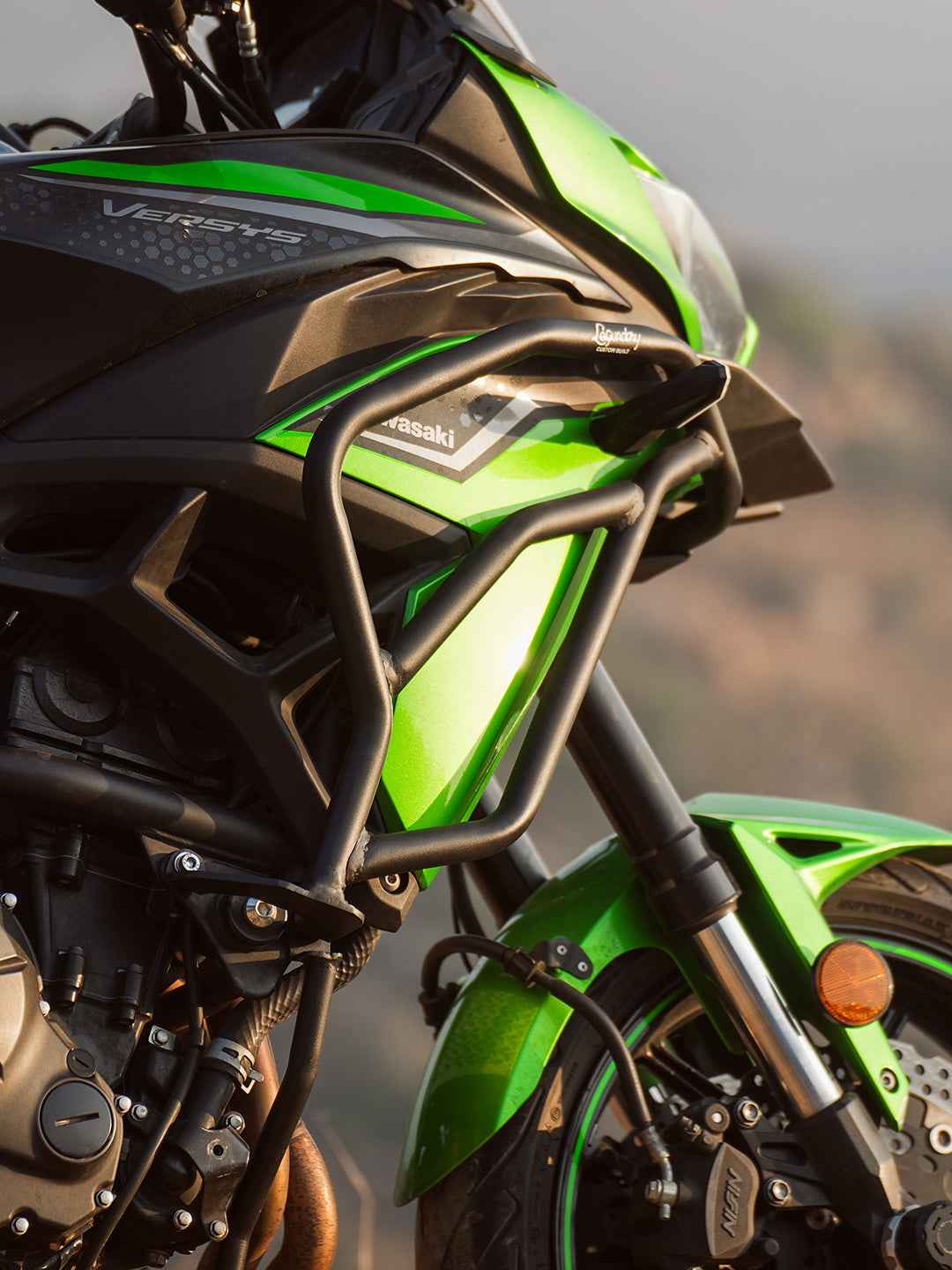 Legundary Custom Kawasaki Versys 650 Adrinex Crash Guard - CRA19720