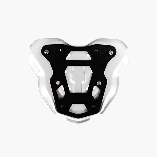 Legundary Custom TVS Apache RTX 300 Genesis Carrier Plate Silver - Direct Fit with OEM Carrier - CAR25820