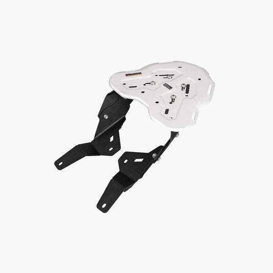 Legundary Custom TVS Apache RTX 300 Genesis Carrier Silver - Clamp Mount for Grab Rail Variants - CAR25814