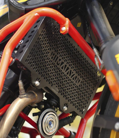 Moto Torque Himalayan 450 - Radiator Guard (MS)