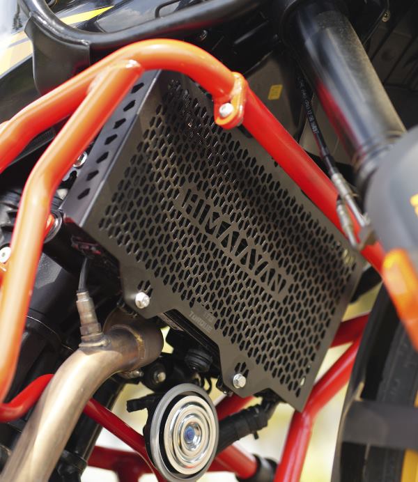 Moto Torque Himalayan 450 - Radiator Guard (MS)