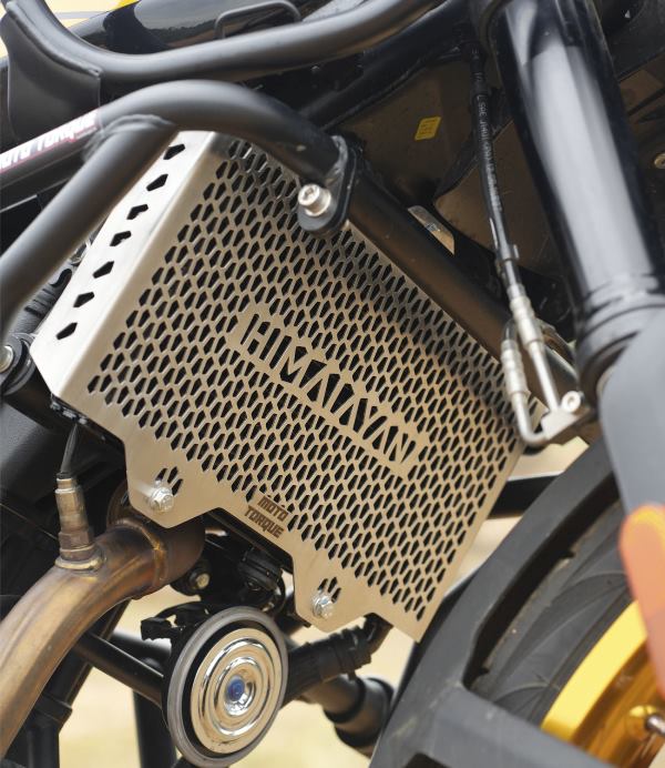 Moto Torque Himalayan 450 - Radiator Guard (SS)