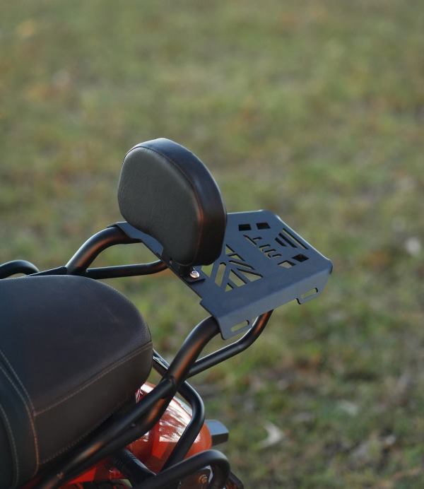 Moto Torque TVS Ronin - Back Carrier