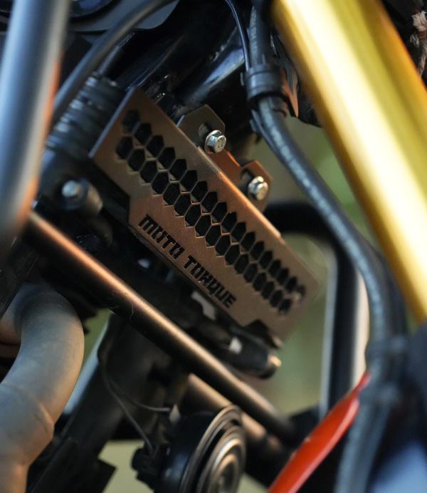 Moto Torque TVS Ronin - Radiator Guard (Black)