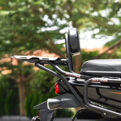 Moto Torque Back Carrier With Backrest For Harley Davidson X440T