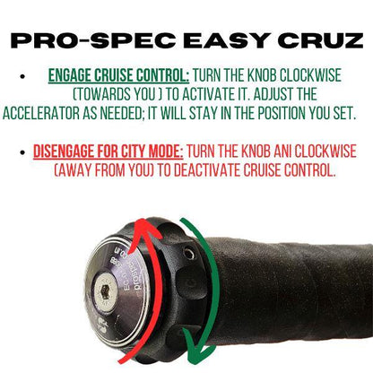 Pro-Spec Easy Cruz for RE Bear 650-ECZ 035