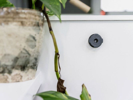 Quadlock® Adhesive Wall Mount (Twin Pack) (V2)-QLM-WAL-2