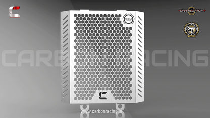 Brushed Aluminum Premium Radiator Guard for GT 650 and Interceptor 650 - Riders Junction