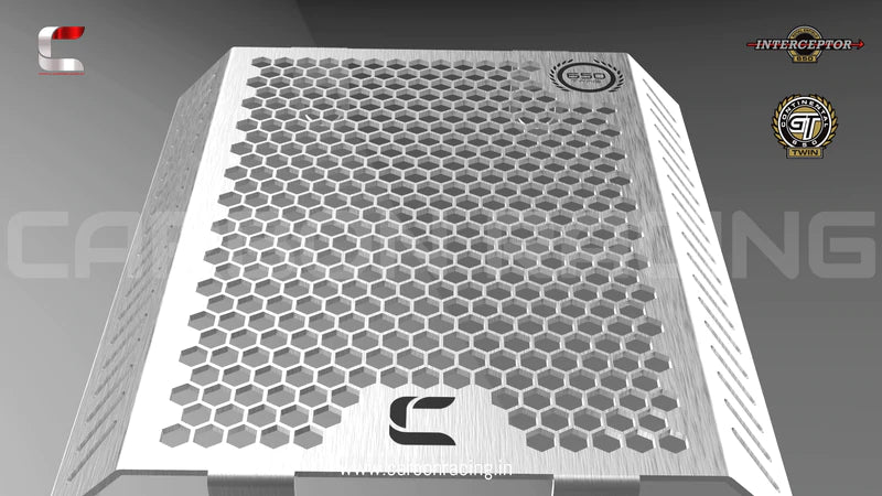 Brushed Aluminum Premium Radiator Guard for GT 650 and Interceptor 650 - Riders Junction