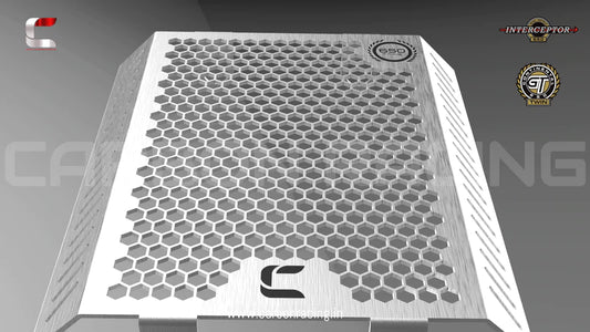 Brushed Aluminum Premium Radiator Guard for GT 650 and Interceptor 650 - Riders Junction