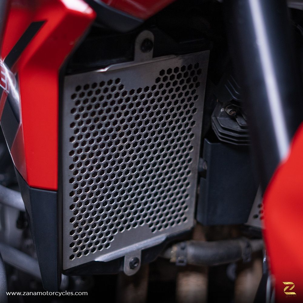 ZANA Radiator Guard Honeycomb for Triumph Tiger 850- Silver (2 MM ALU) Set - ZP-087