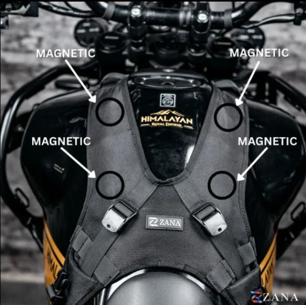 ZANA Universal Dragon Belt - ZI-BG-016