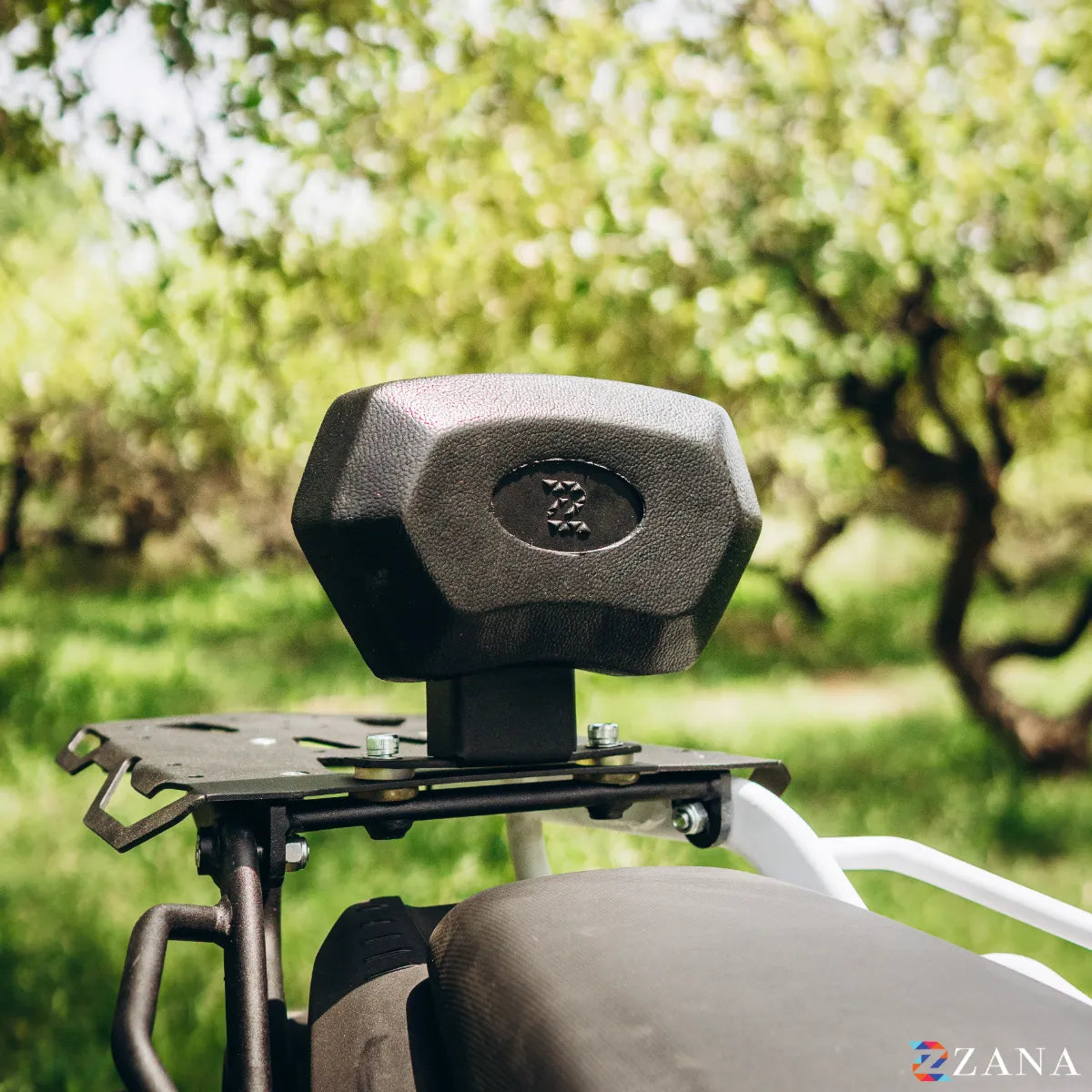 Zana Top Rack With MS Plate Compatible with Pillion Backrest For BMW F 450 GS (Frame White with Black Plate) - ZI-8783