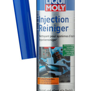 LIQUI MOLY Injection Cleaner- 300 ML - Riders Junction