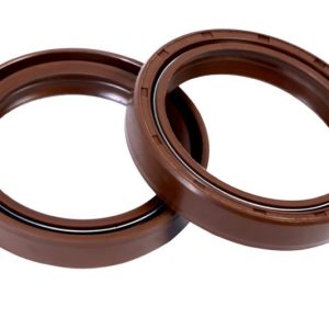 CRANK1 Fork Oil Seal Pair FOR BMW 310 R (2016-2020)-CPF4153810.5 (55-117)